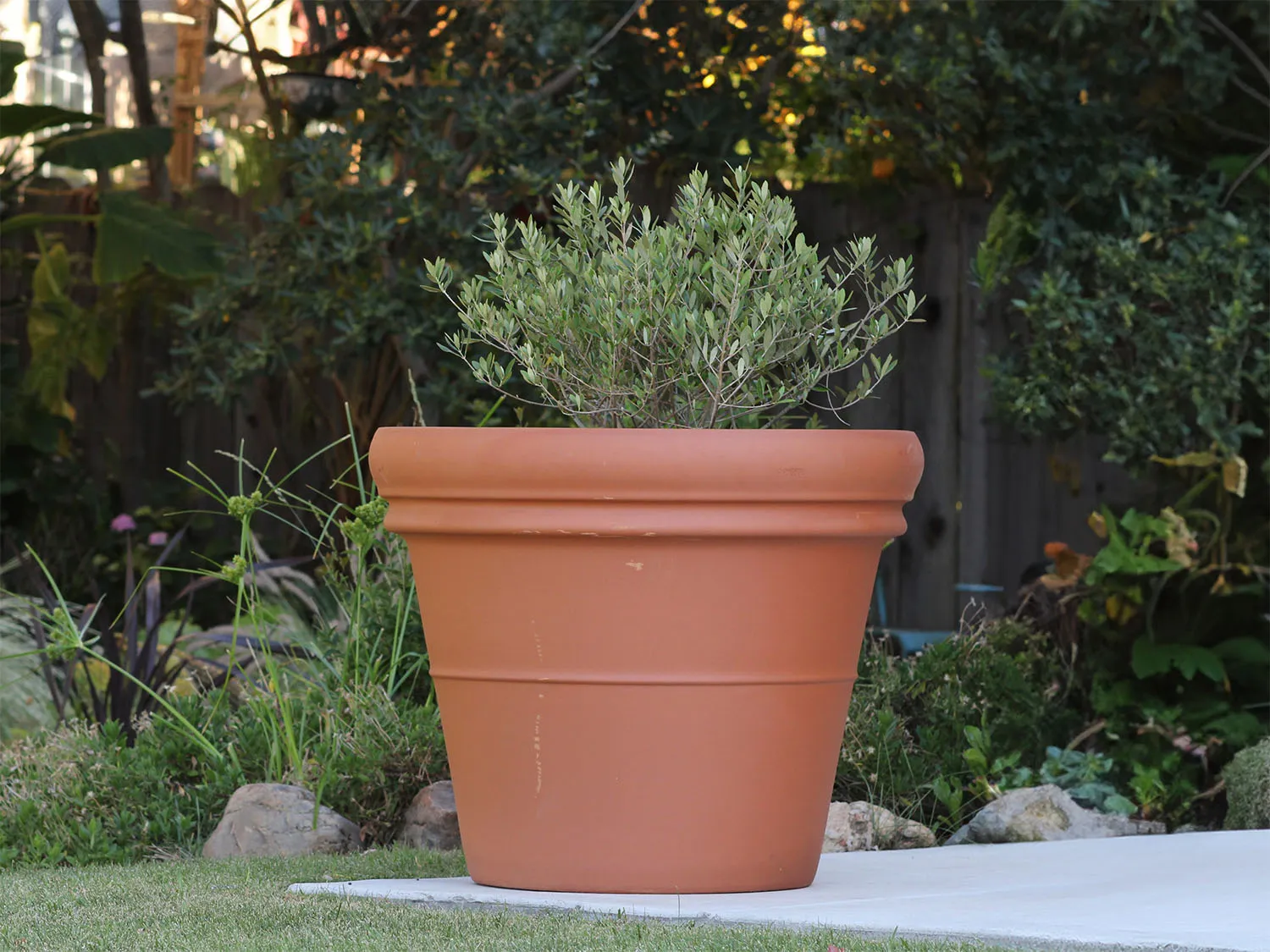 Heavy Rim Pot