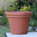 Heavy Rim Pot — Natural