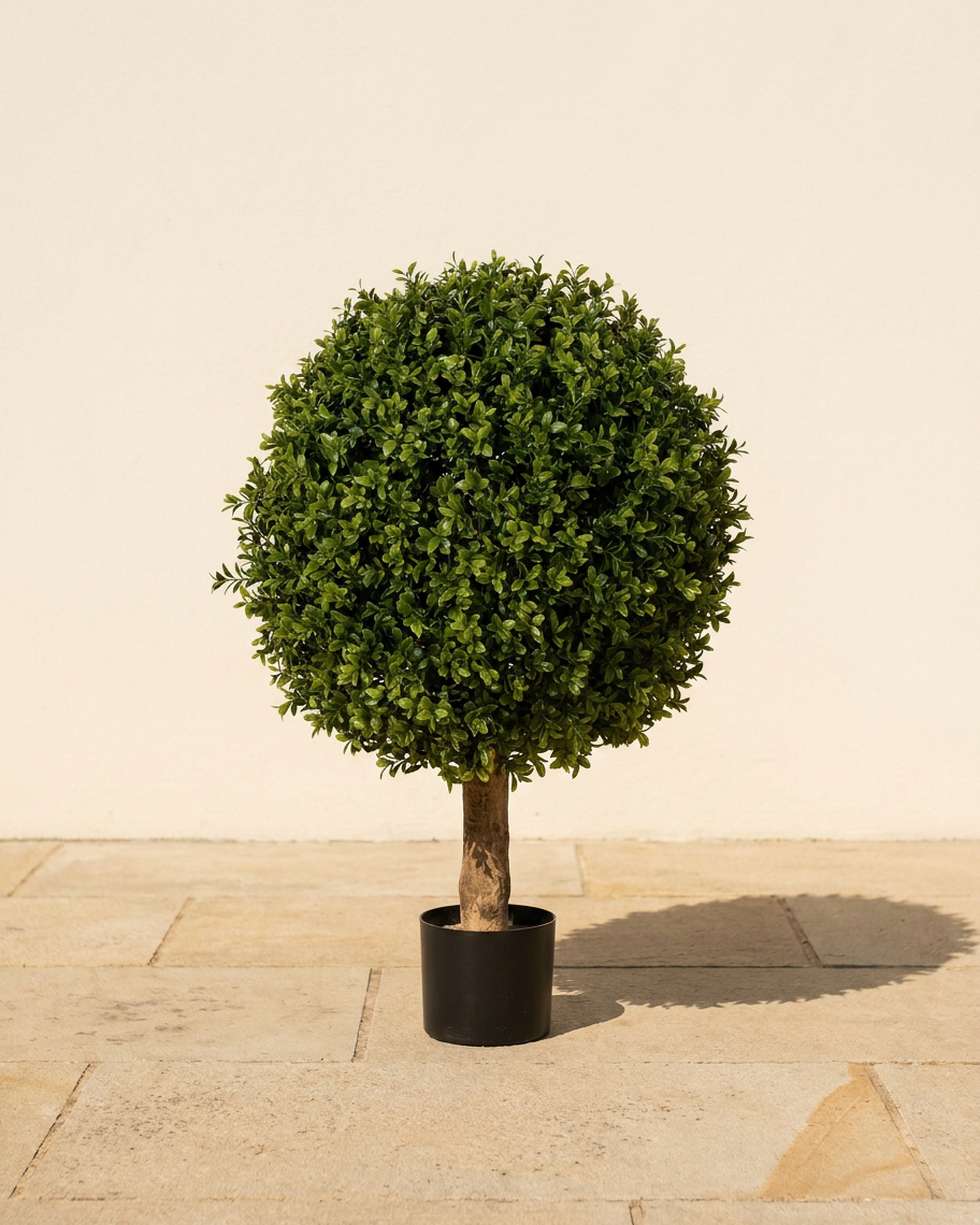 24 in UV Boxwood Ball Topiary 24 in UV Boxwood Ball Topiary