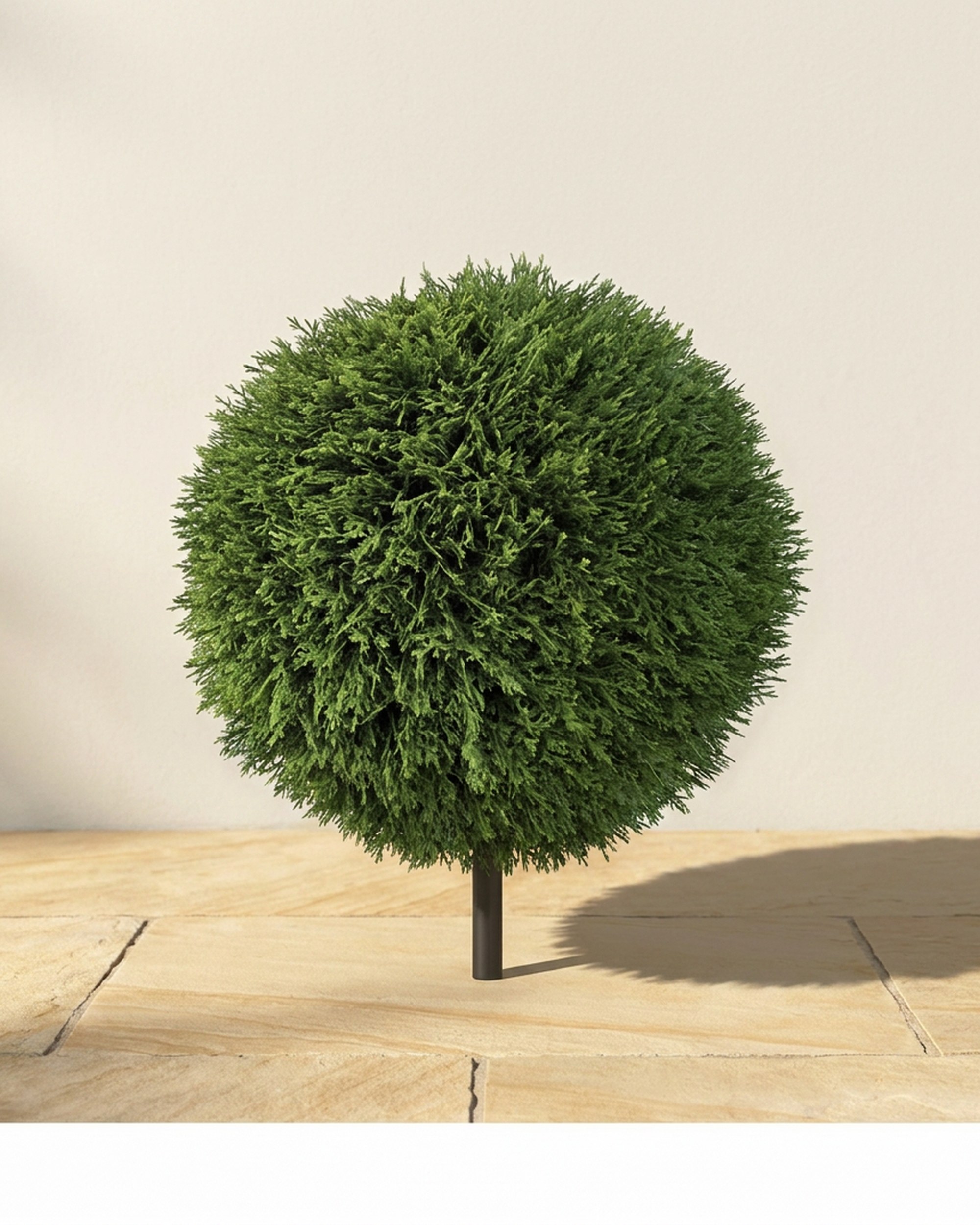 Ultraviolet Cedar Ball Topiary, 24 in Ultraviolet Cedar Ball Topiary, 24 in