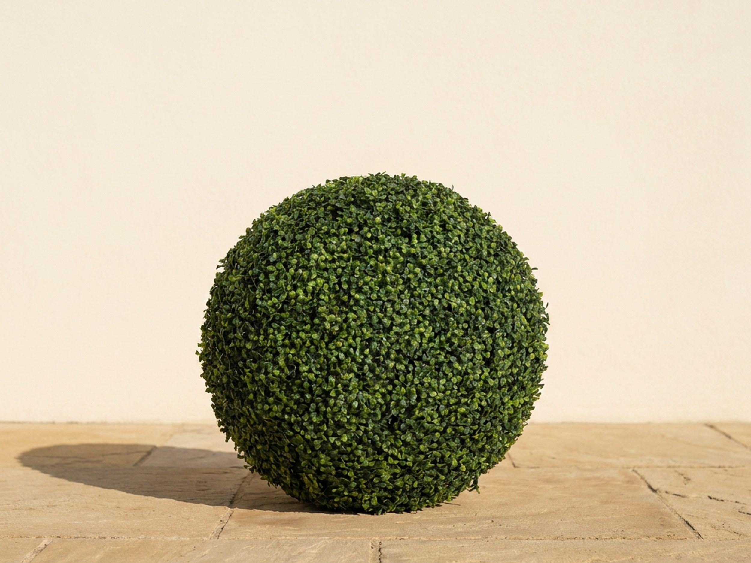 Boxwood Ball Topiary, 24 in Boxwood Ball Topiary, 24 in