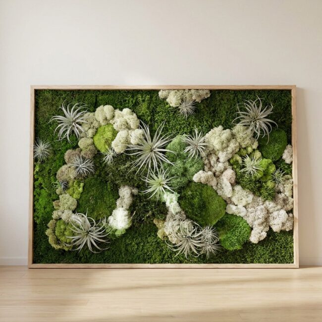 Preserved Moss and Air Plant Topiary Wall Art, 24 x 48 inch