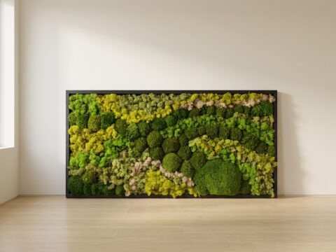 Preserved Moss Wall Art, Wood Frame, 14×24 in – 24×48 in