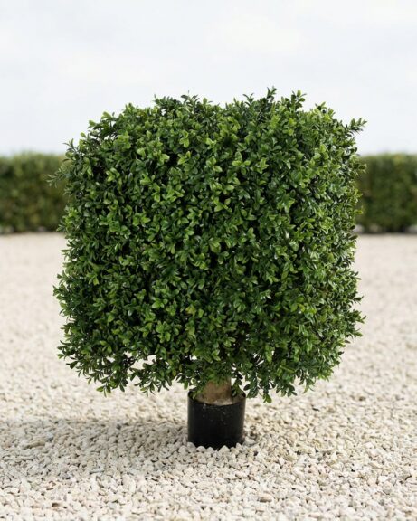 Artificial Boxwood Square Topiary, 25 x 18 Inches
