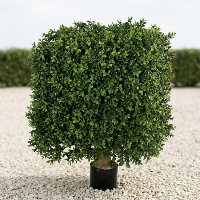 Artificial Boxwood Square Topiary, 25 x 18 Inches