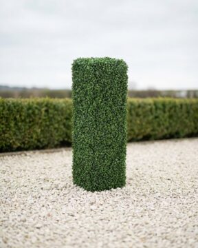 UV Boxwood Column Hedge Topiary, 3 ft