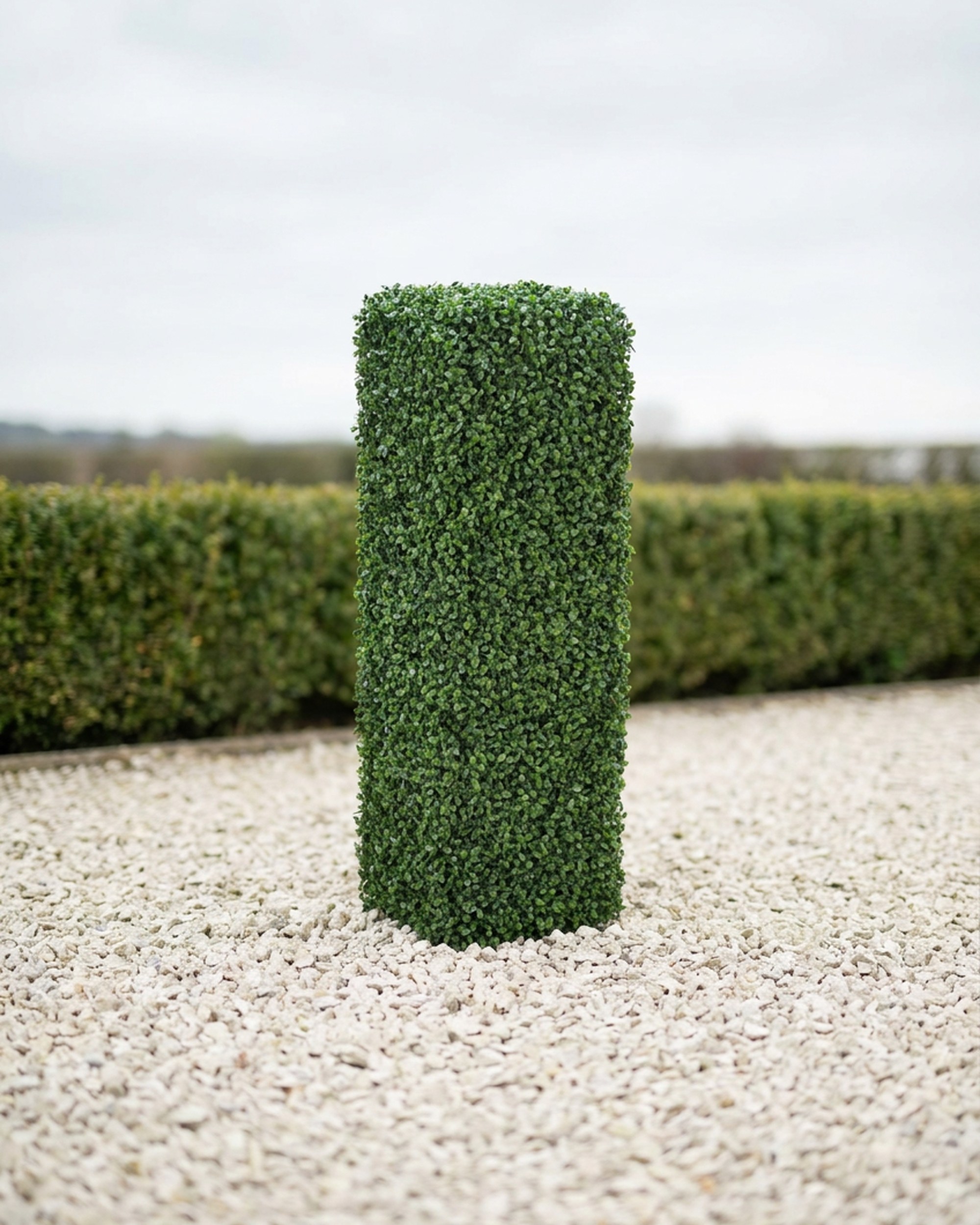 UV Boxwood Column Hedge Topiary, 3 ft UV Boxwood Column Hedge Topiary, 3 ft