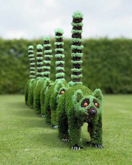 Wild Lemur Topiary Group, 3 ft