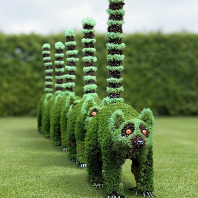 Wild Lemur Topiary Group, 3 ft