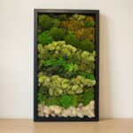 Preserved Moss Wall Art, 3-Piece Set, 12x24