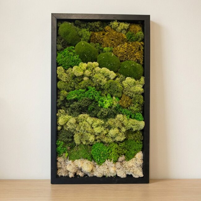 Preserved Moss Wall Art, 3-Piece Set, 12×24