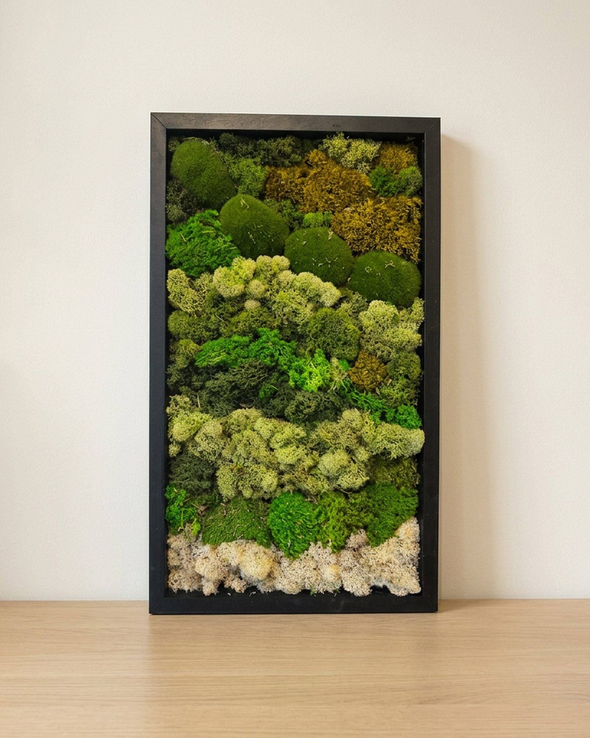 Preserved Moss Wall Art, 3-Piece Set, 12x24