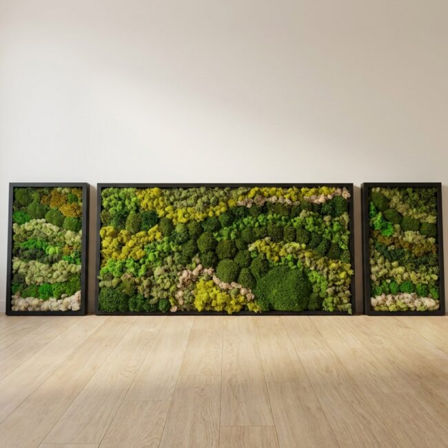 3-Piece Preserved Moss Wall Art, 24×48