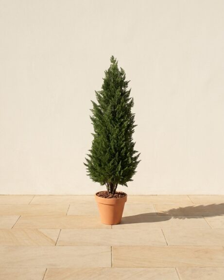 Polyblend Cypress Topiary, 32 in