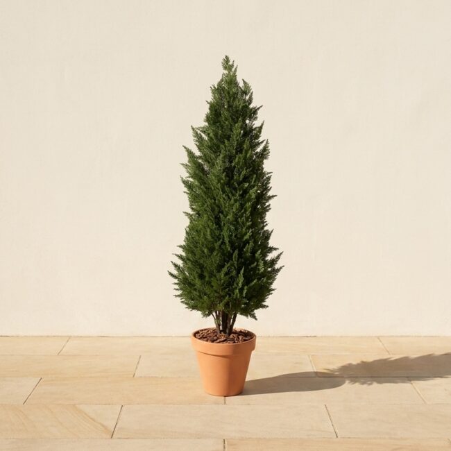 Polyblend Cypress Topiary, 32 in