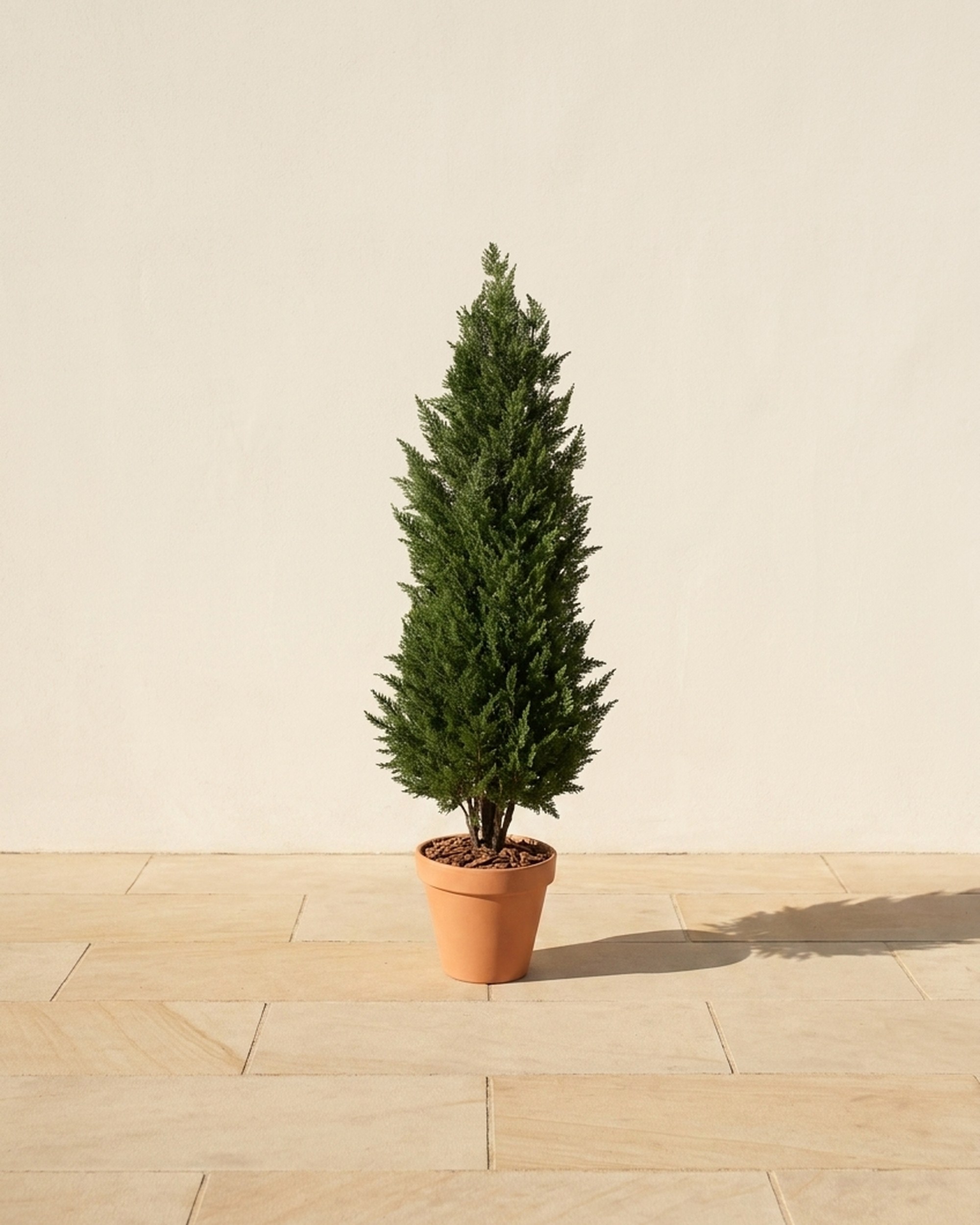 Cypress Topiary, Artificial, 32 in Cypress Topiary, Artificial, 32 in