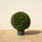 32 inch Potted Japanese Boxwood Ball Topiary
