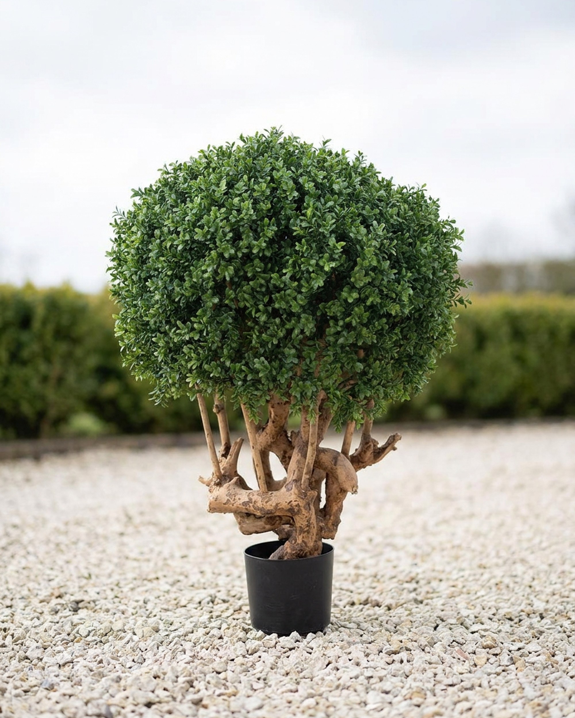 Boxwood Ball Topiary, Artificial, 35 in