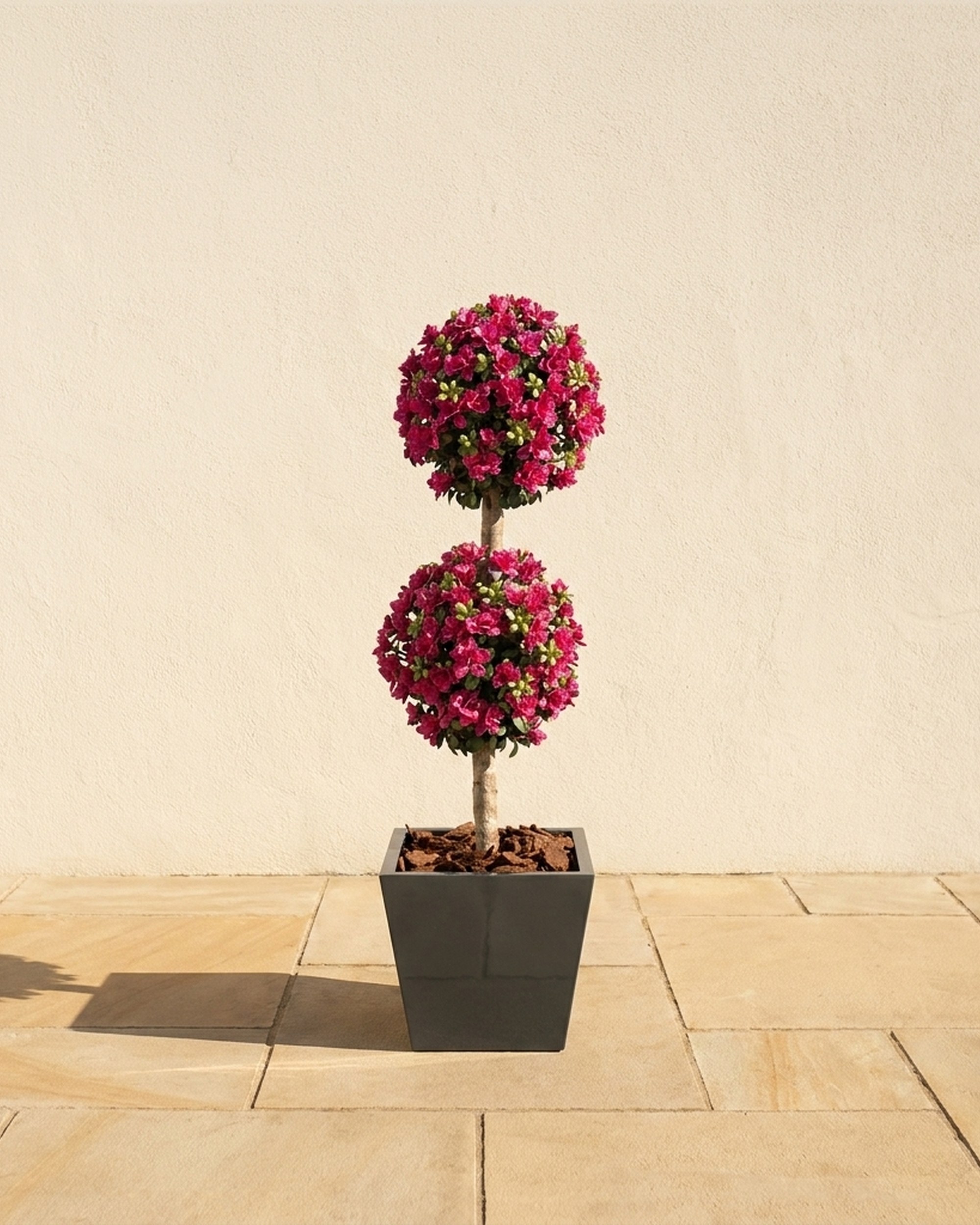 Azalea Double Ball Topiary, Artificial, 5 ft