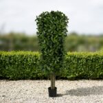 Artificial Bay Laurel Topiary, 6 ft