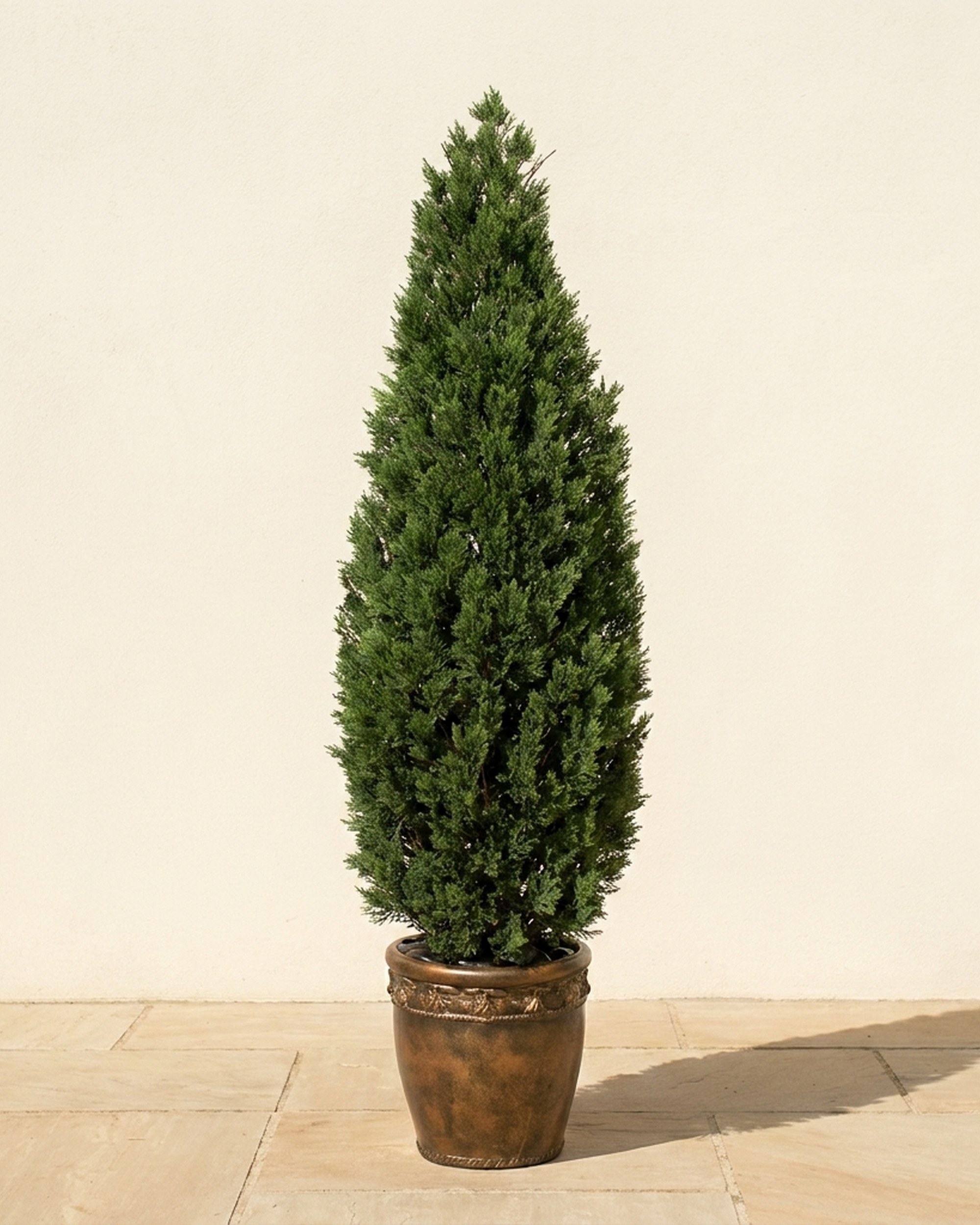 Cedar Cone Topiary, 6 ft Cedar Cone Topiary, 6 ft