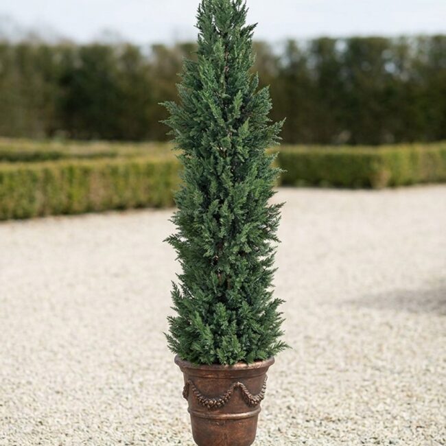 Outdoor Polyblend Cypress Topiary Tree, 6–12 ft
