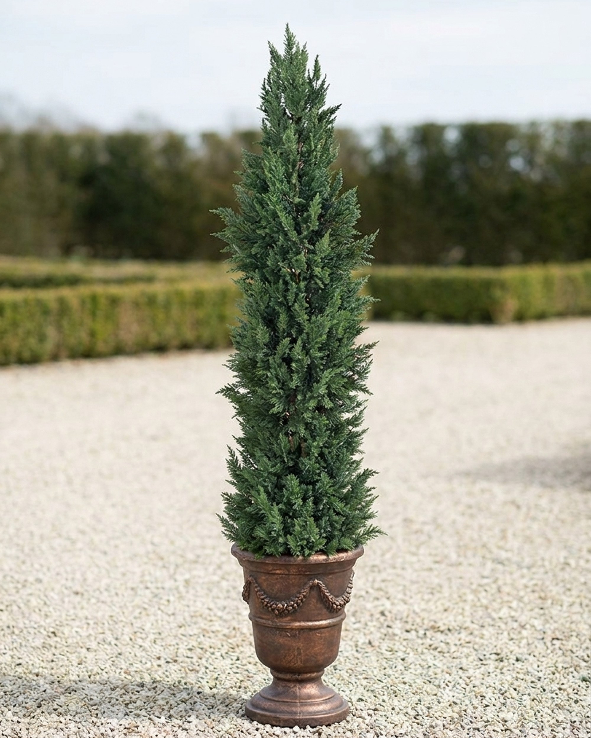Outdoor Polyblend Cypress Topiary Tree, 6 ft Outdoor Polyblend Cypress Topiary Tree, 6 ft