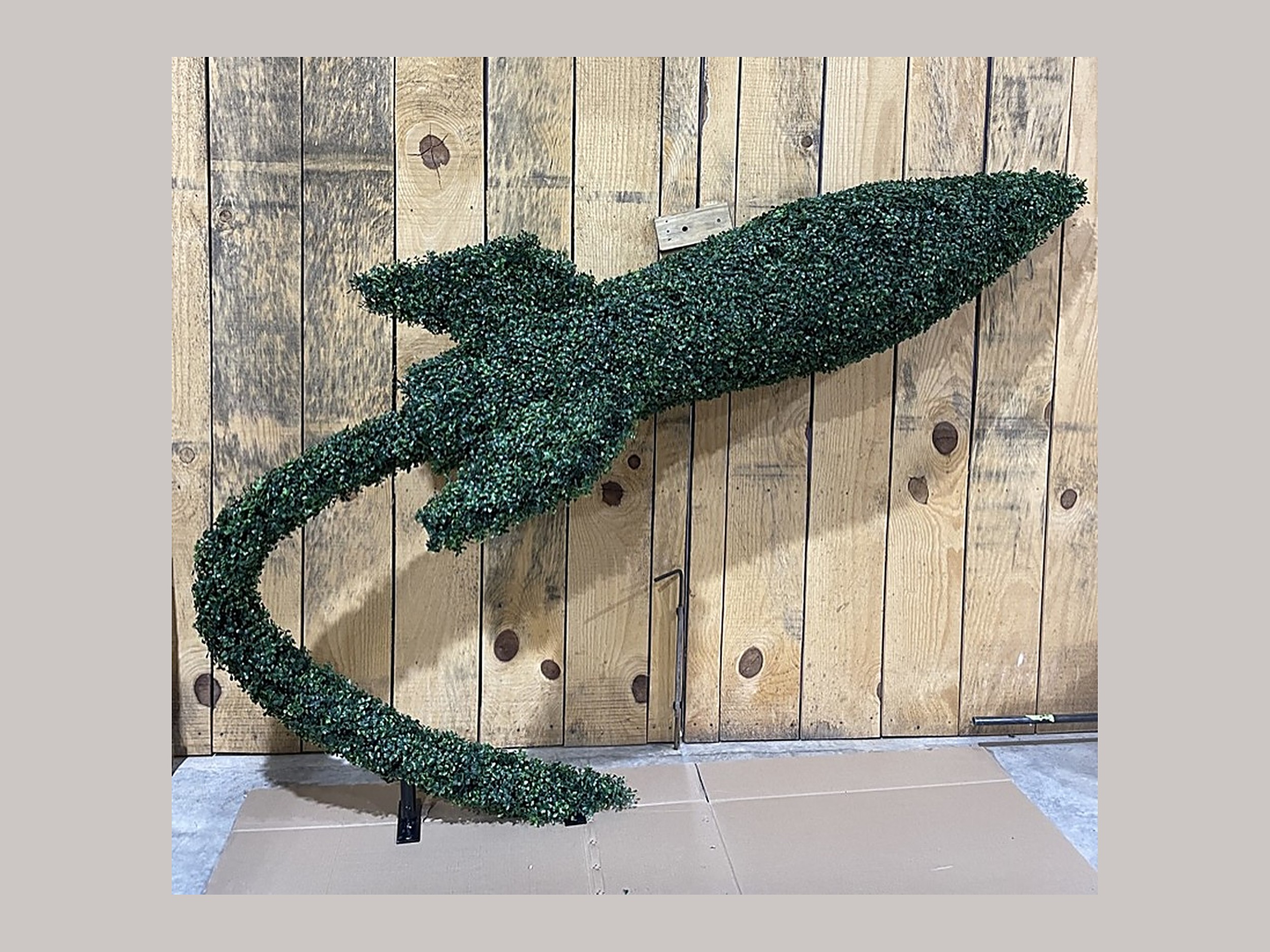 Rocket Topiary, 6 ft