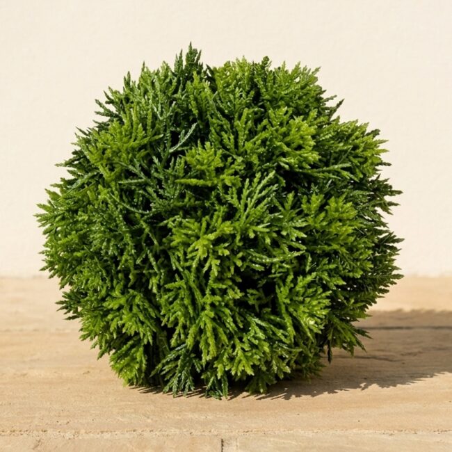 Cedar Ball Topiary, 6 in
