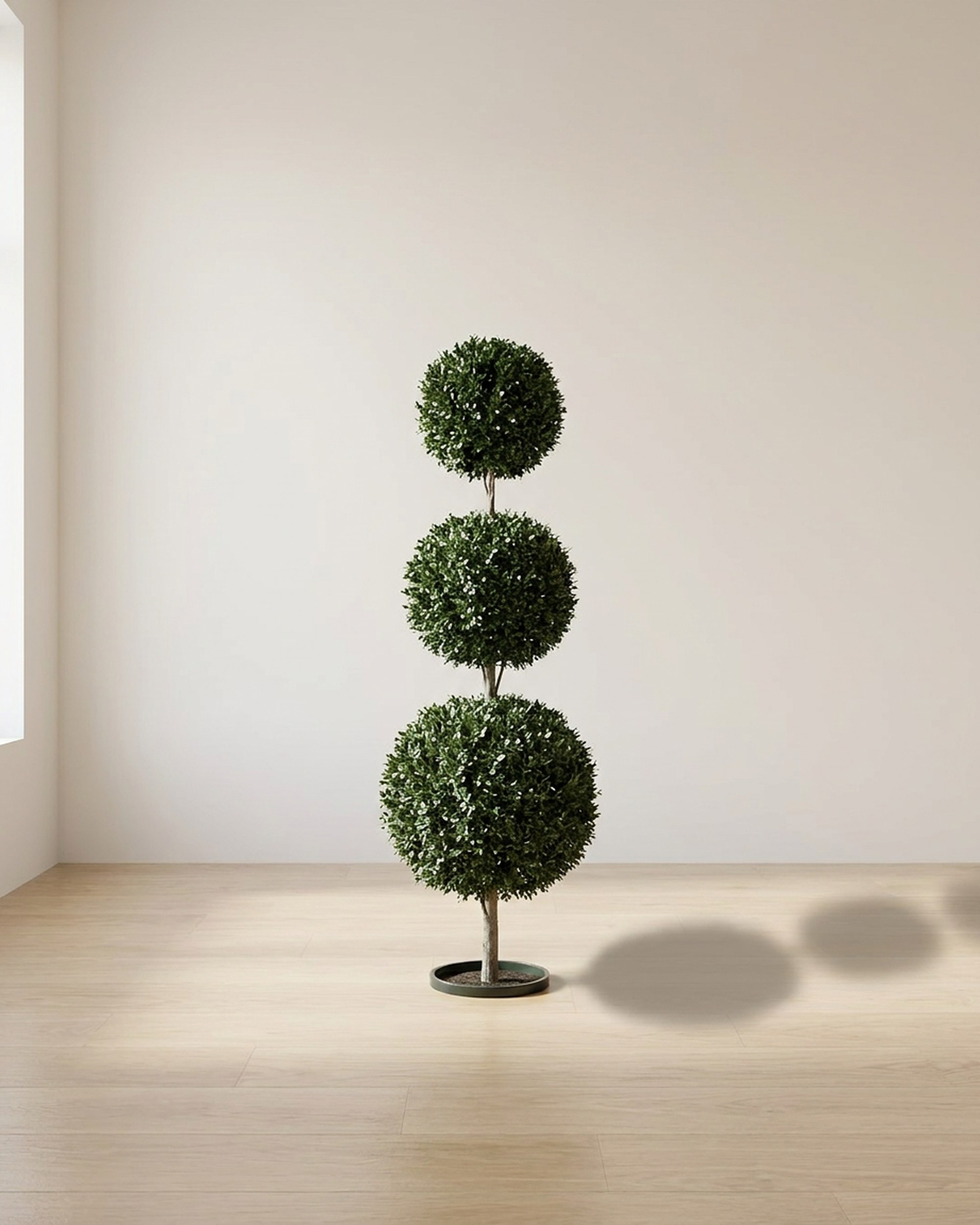 Boxwood Triple Ball Topiary, Preserved, 60 in