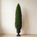 Preserved Boxwood Cone Topiary, 72 in
