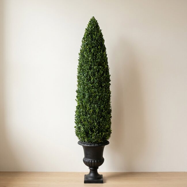 Preserved Boxwood Cone Topiary, 72 in