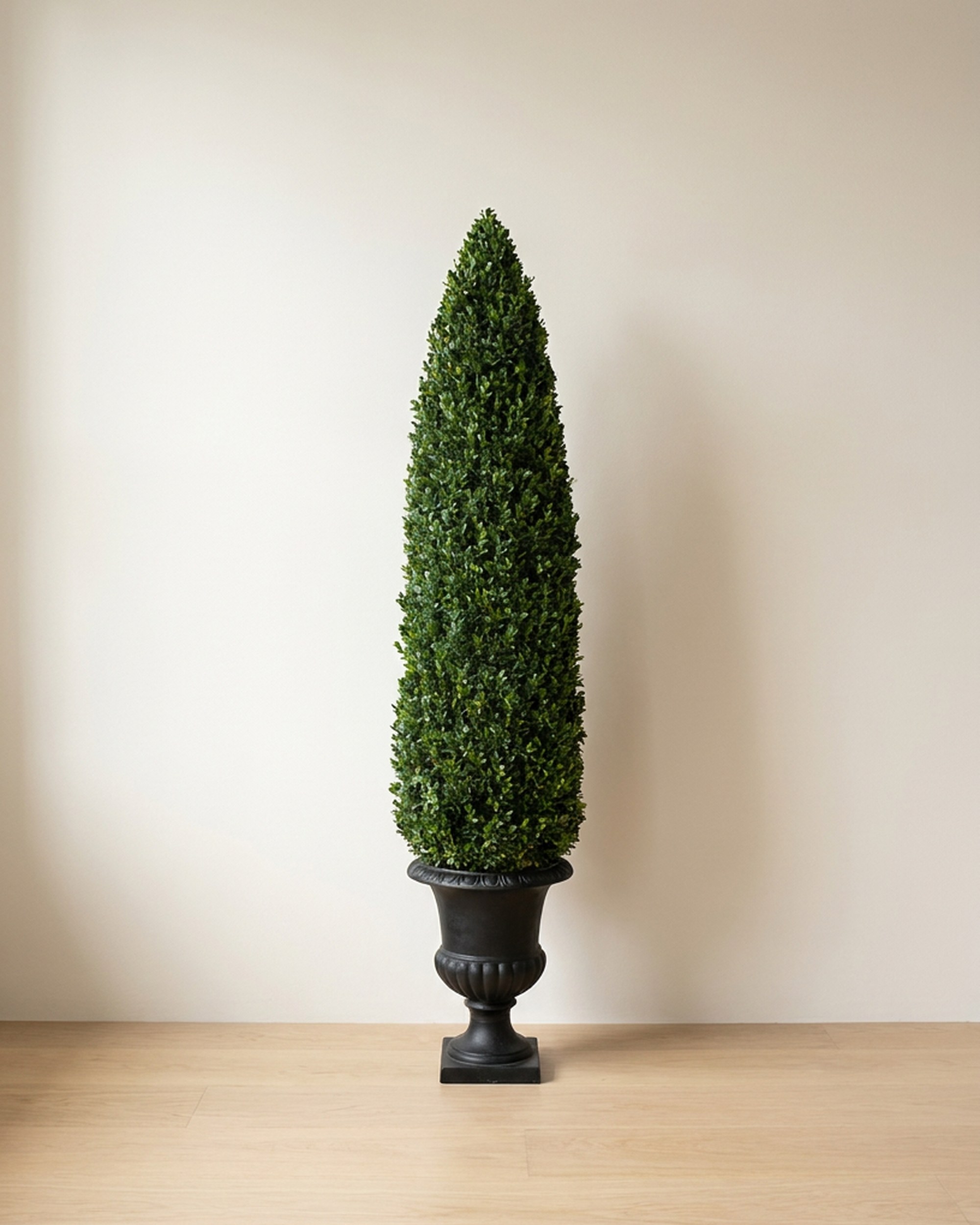 Boxwood Cone Topiary, Preserved, 72 in Boxwood Cone Topiary, Preserved, 72 in