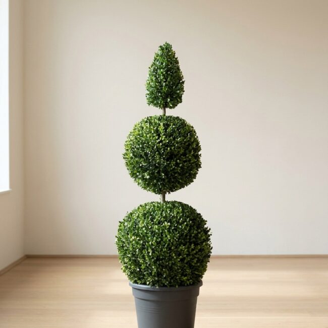 Preserved Boxwood Double Ball & Cone Topiary, 60–72 in