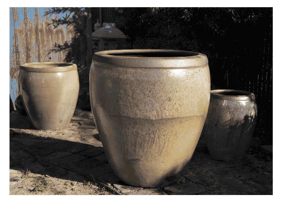 Extra Large Tall Sago Planter — Set of 3