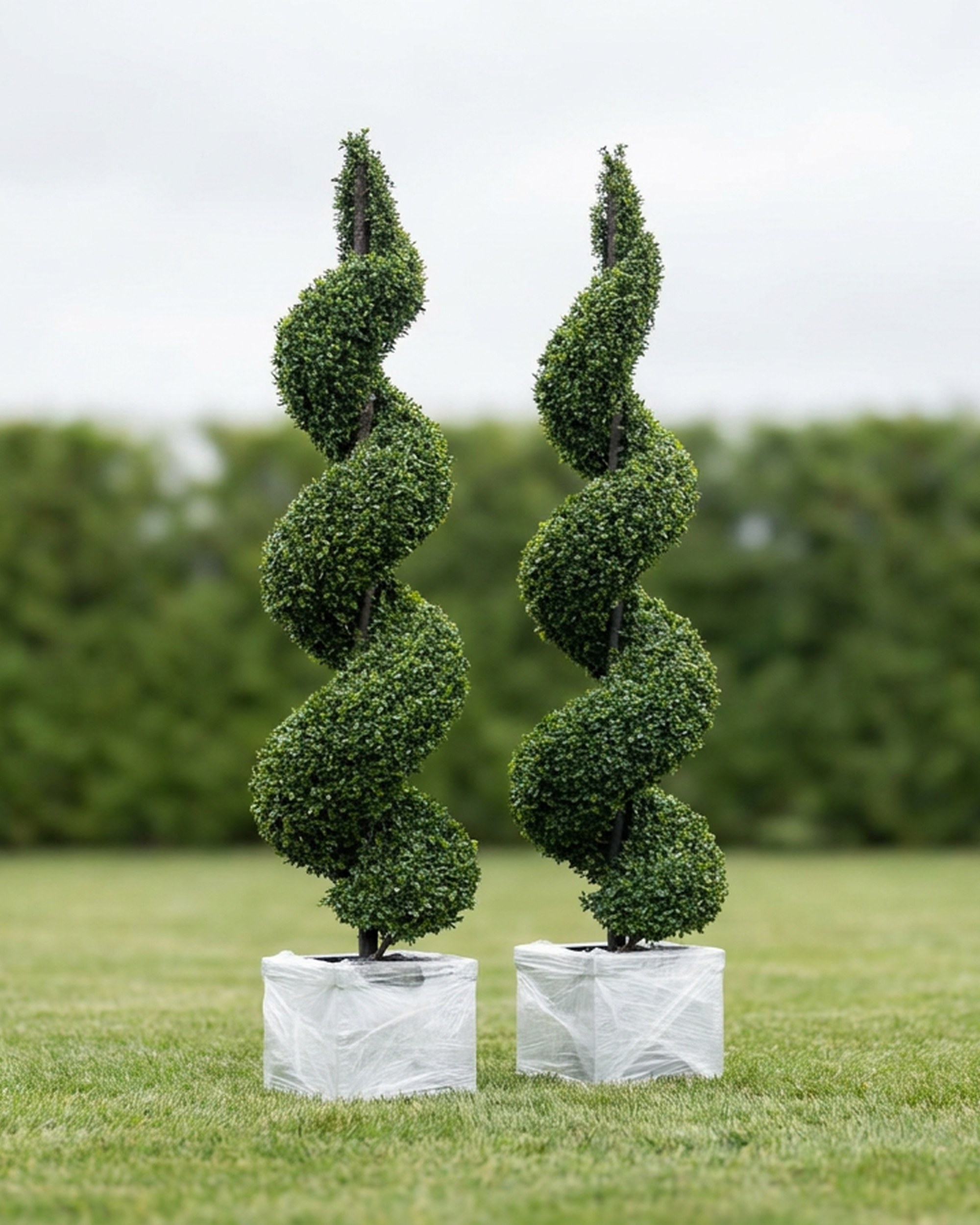 Policaise Foliage Spiral Topiary, 86 in