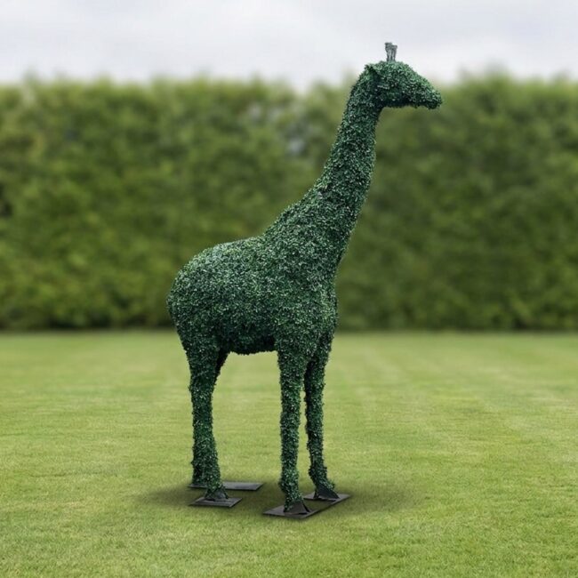 Giraffe Topiary, 14 ft