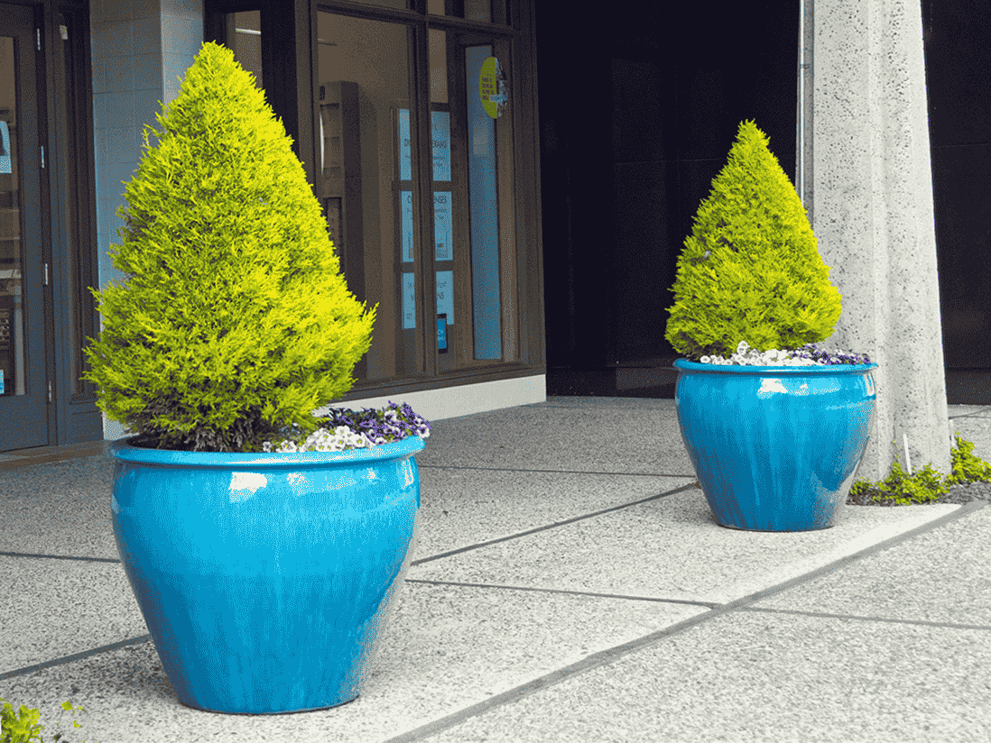 Fish Bowl Planter — Set of 3