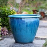 Fish Bowl Planter — Set of 3 — Falling Aqua