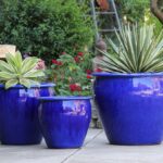 Fish Bowl Planter — Set of 3 — Falling Blue