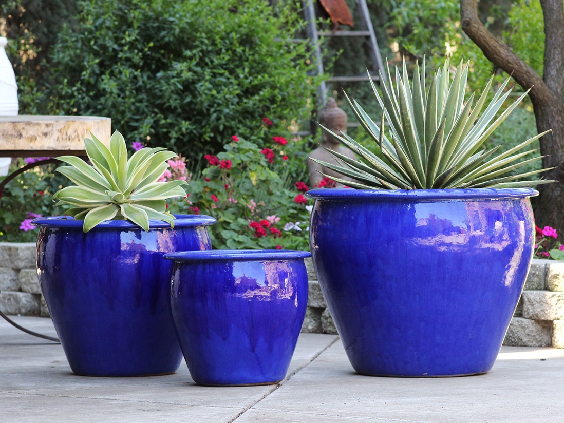 Fish Bowl Planter — Set of 3