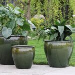 Fish Bowl Planter — Set of 3 — Fern Green