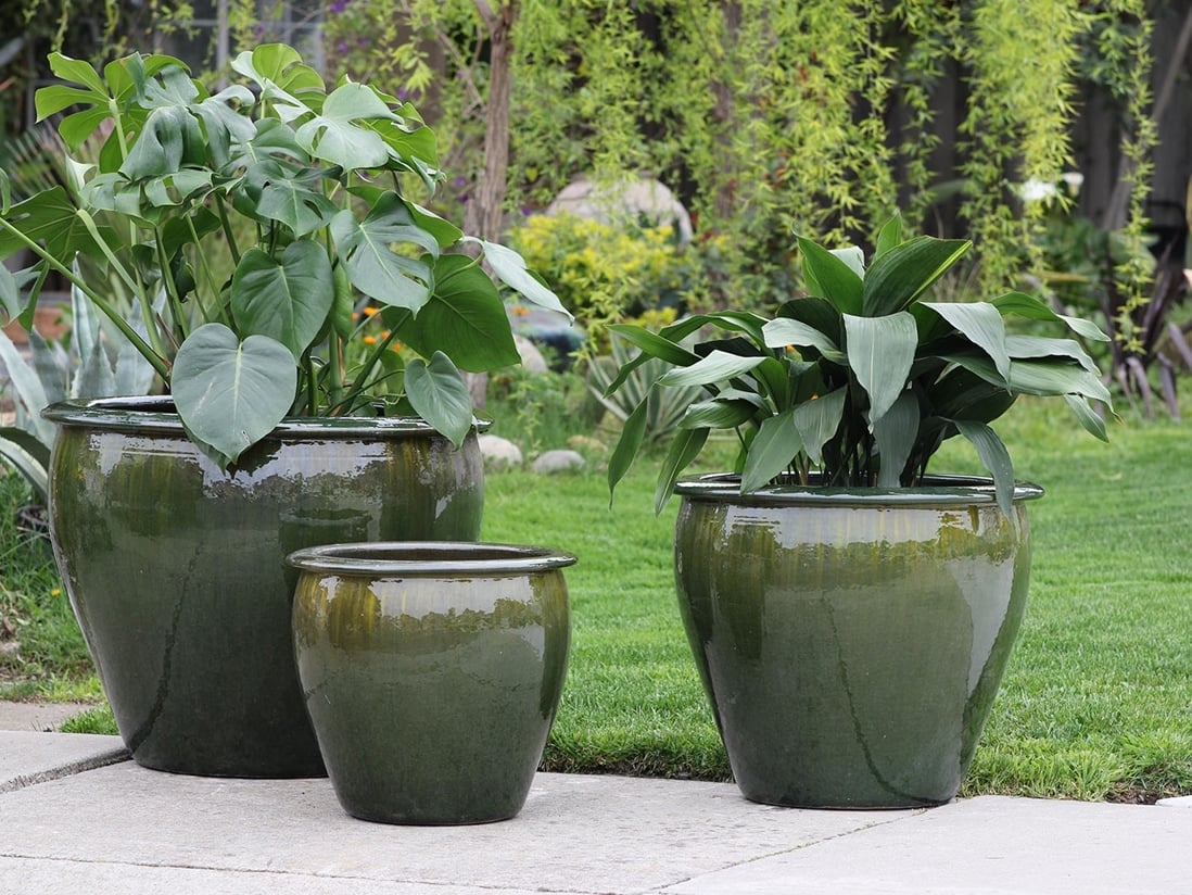Fish Bowl Planter — Set of 3