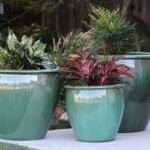 Fish Bowl Planter — Set of 3 — Green Stream