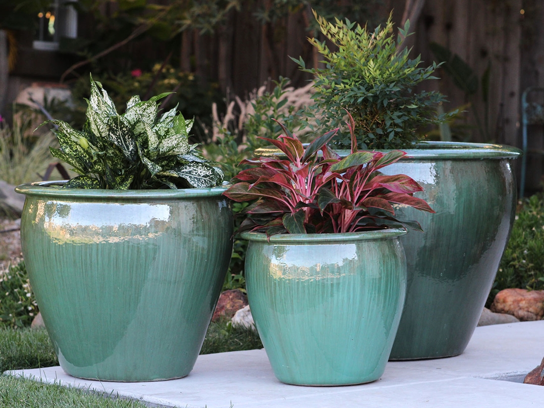 Fish Bowl Planter — Set of 3