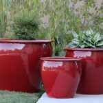 Fish Bowl Planter — Set of 3 — Lavish Red
