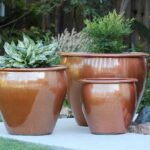 Fish Bowl Planter — Set of 3 — Matte Bronze