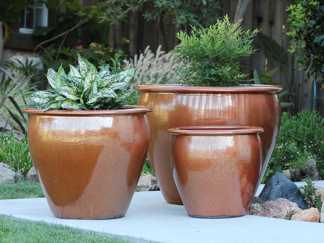 Fish Bowl Planter — Set of 3