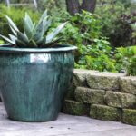 Fish Bowl Planter — Set of 3 — Peacock Green