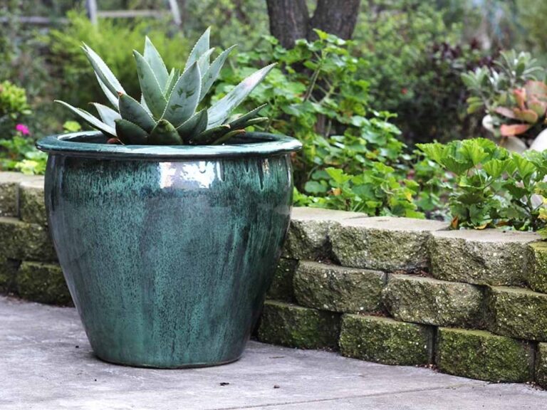Fish Bowl Planter, Set of 3: Peacock Green